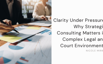 Clarity Under Pressure: Why Strategic Consulting Matters in Complex Legal and Court Environments
